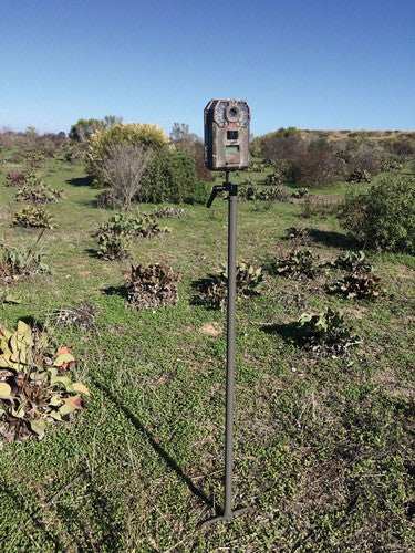 Stealth Cam Trail Cam Mounting - Stick 34" High Steel - Skoutley Outdoors LLC