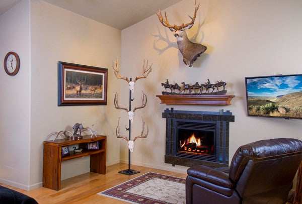 Skull Hooker Trophy Tree W/ 5 - Brackets Customizable Display - Skoutley Outdoors LLC
