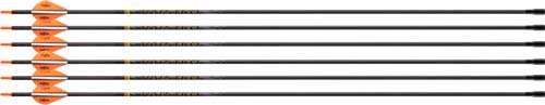 Victory Archery Vap Tko Elite - 400 Arrow Fletched 6pk - Skoutley Outdoors LLC