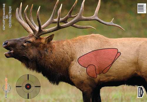 B/c Target Pregame 16.5"x24" - Elk Target 3-targets - Skoutley Outdoors LLC