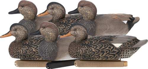 Zink Floater Decoys Gadwall - 6 Pack - Skoutley Outdoors LLC