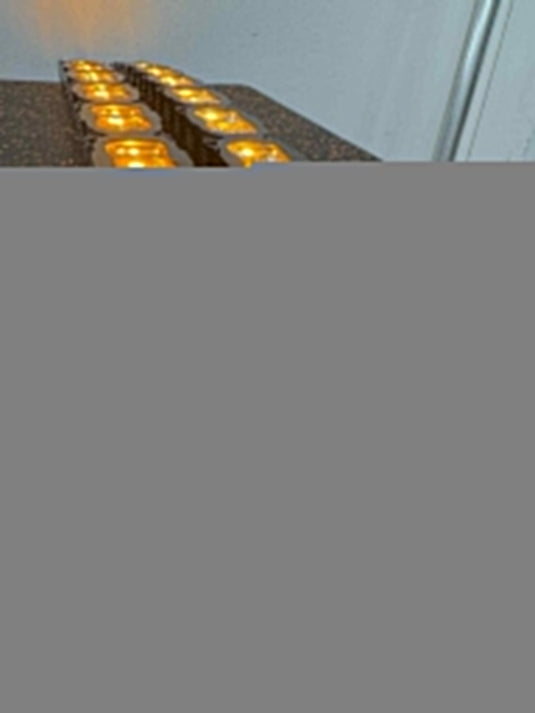 2024+ Ford Raptor Gen 3 Refresh Single 40in Light Bar - PRO