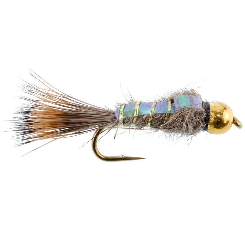 Load image into Gallery viewer, Basics Collection - Copper John - Flash Back Nymph Kit - 10 Flies #10-16
