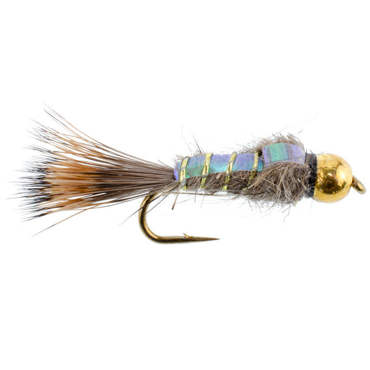 Basics Collection - Flash Back Tungsten Bead Head Nymphs 10 Flies