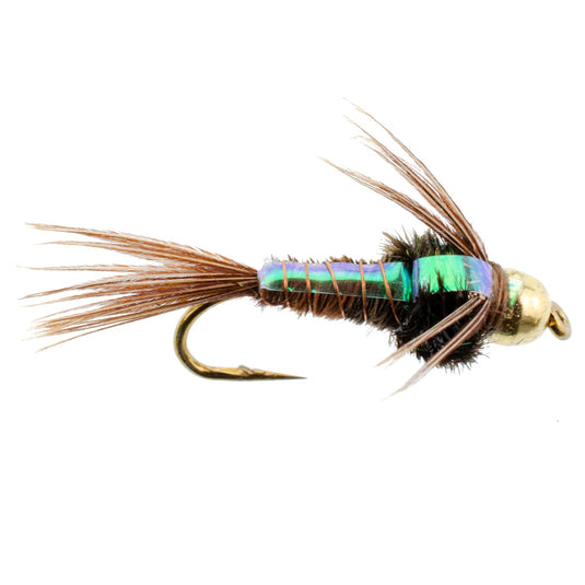 Basics Collection - Beaded Pheasant Tail Nymph Assortment - 10 Flies