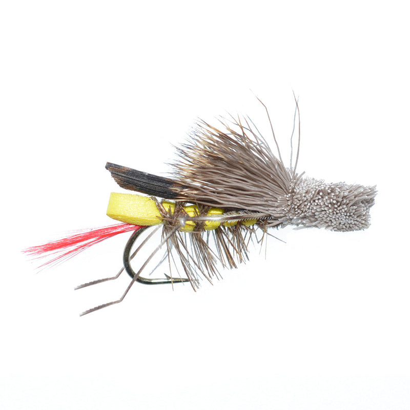 Load image into Gallery viewer, Basics Collection - Terrestrials Fly Assortment - 10 Flies - Sizes 10-14
