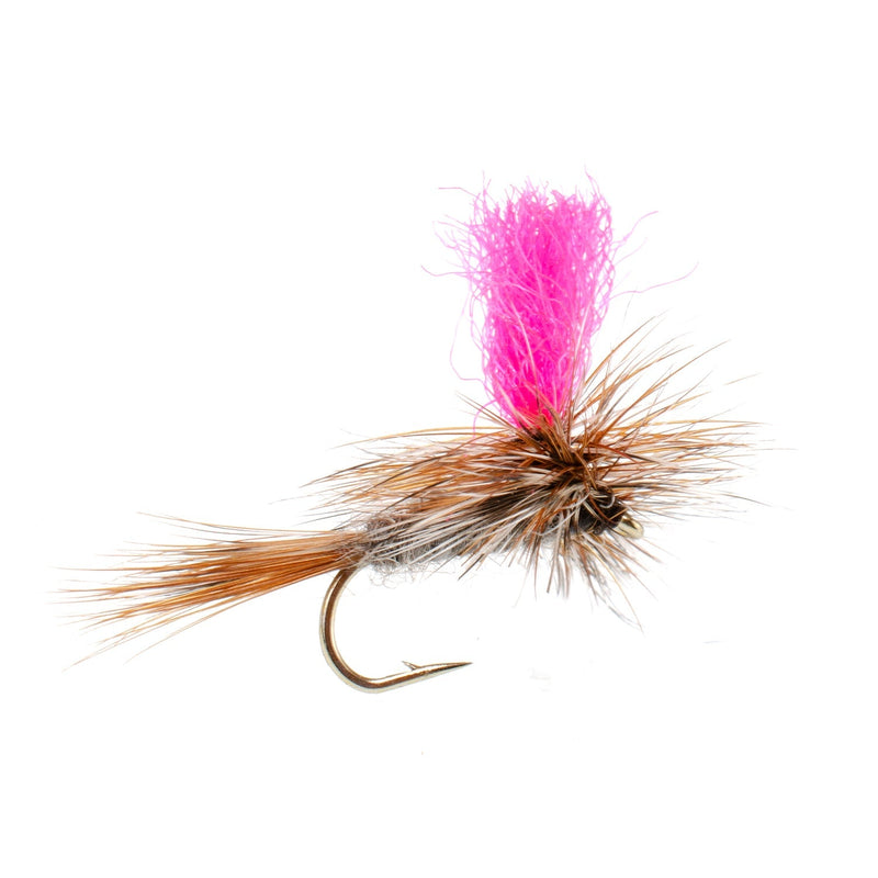 Load image into Gallery viewer, Eastern Trout Fly Assortment - 12 Essential Trout Flies Collection

