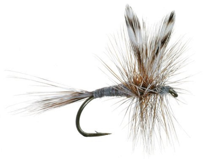 Load image into Gallery viewer, Adams Classic Dry Fly - 1 Dozen Flies Hook Size 16

