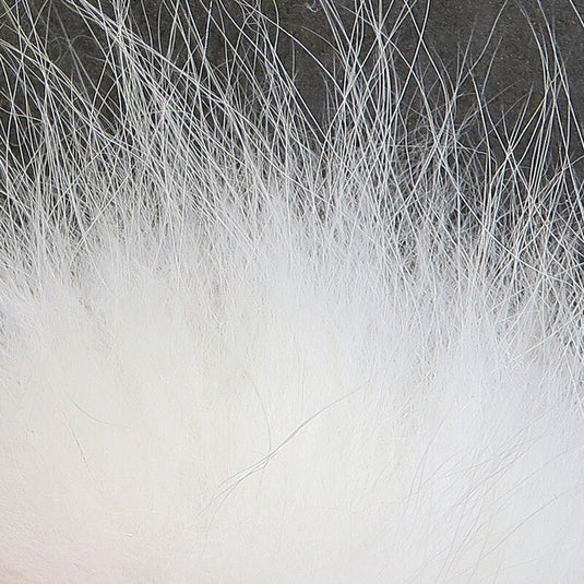 Arctic Fox Hair