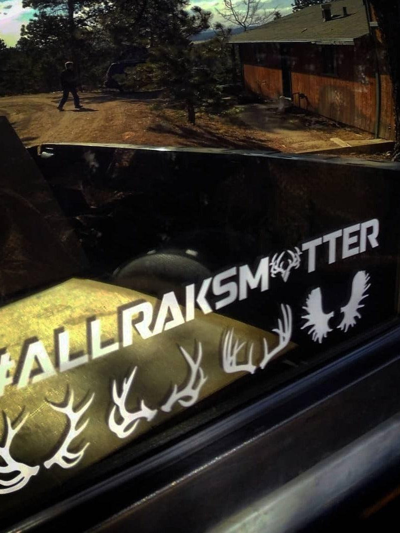 Load image into Gallery viewer, All Raks Matter ™ Decal (NO BOOBIES)
