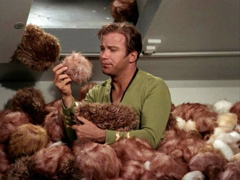 Load image into Gallery viewer, Alpaca Fur Tribble Star Trek
