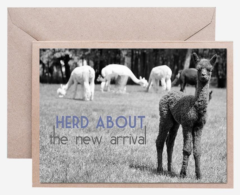 Load image into Gallery viewer, Alpaca Greeting Card - Herd About the New Arrival
