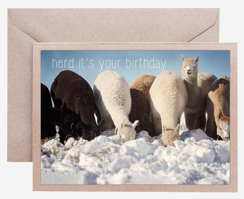 Load image into Gallery viewer, Alpaca Greeting Card - Herd It&#39;s Your Birthday

