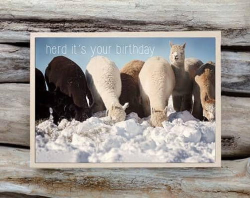 Alpaca Greeting Card - Herd It's Your Birthday