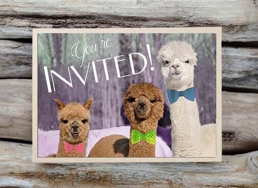 Alpaca Greeting Card - You're Invited