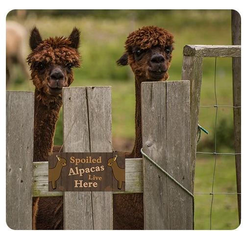 Load image into Gallery viewer, Alpaca Home Decor Wooden Plaque
