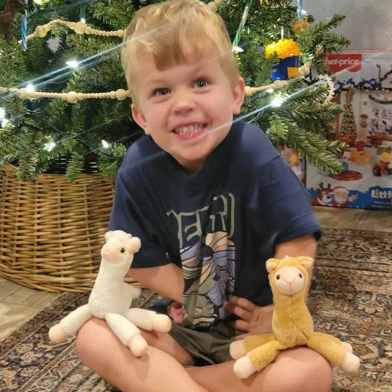 Load image into Gallery viewer, Alpaca Keychain Plush
