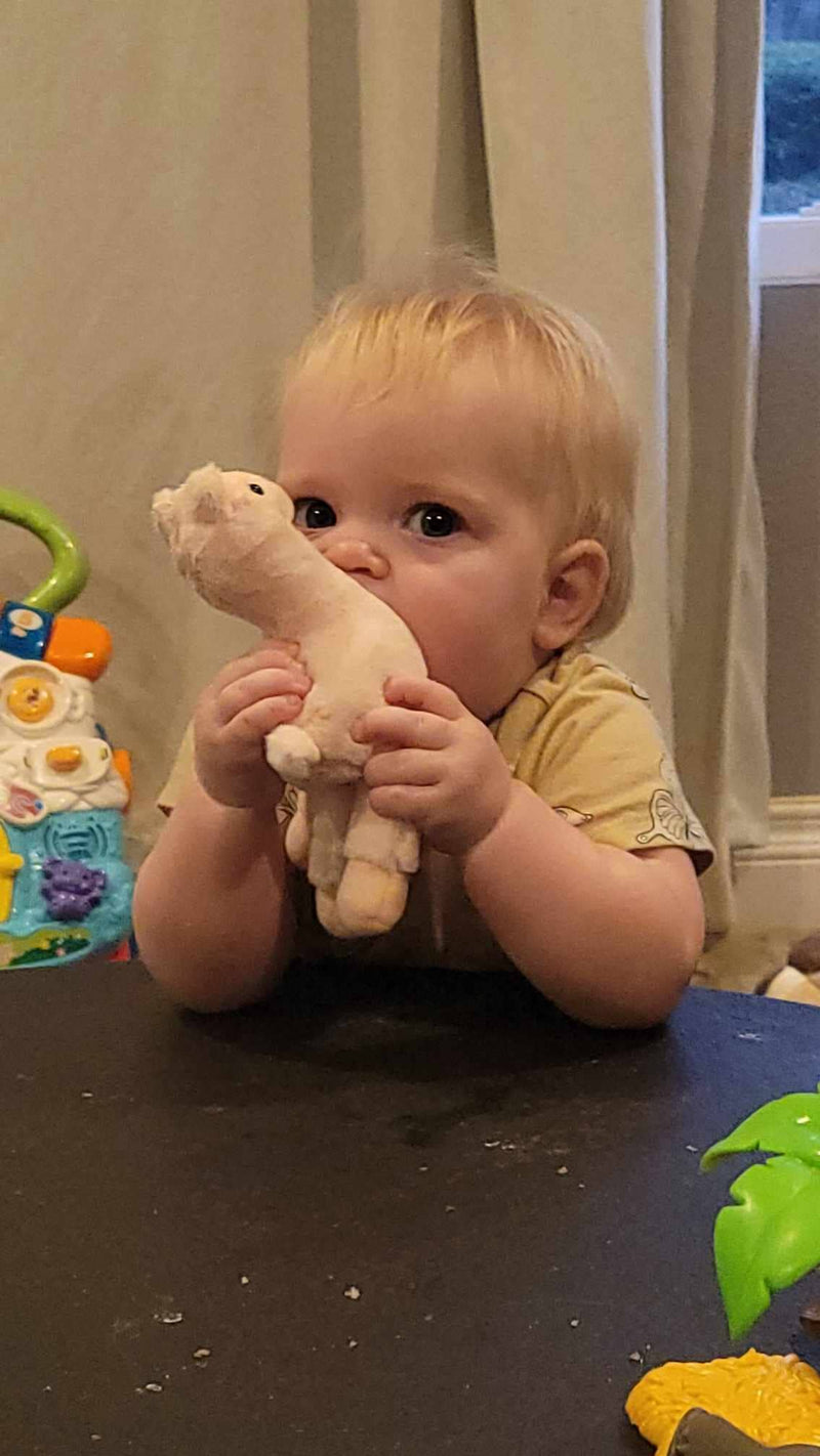 Load image into Gallery viewer, Alpaca Keychain Plush
