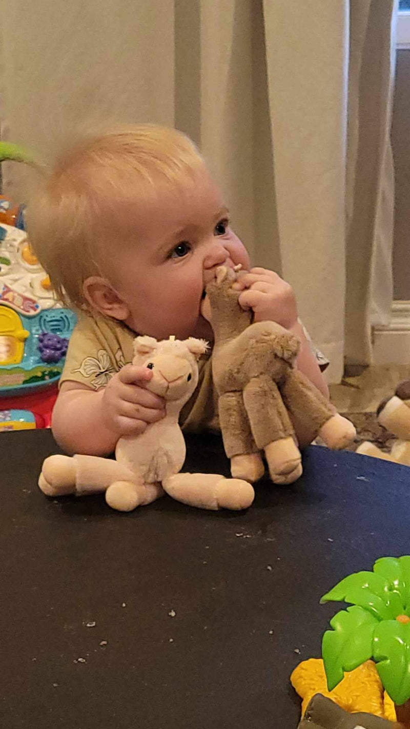 Load image into Gallery viewer, Alpaca Keychain Plush
