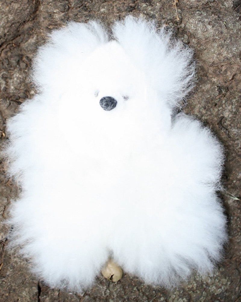 Load image into Gallery viewer, Alpaca Pocket Teddy Bears
