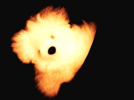 Load image into Gallery viewer, Alpaca Pocket Teddy Bears
