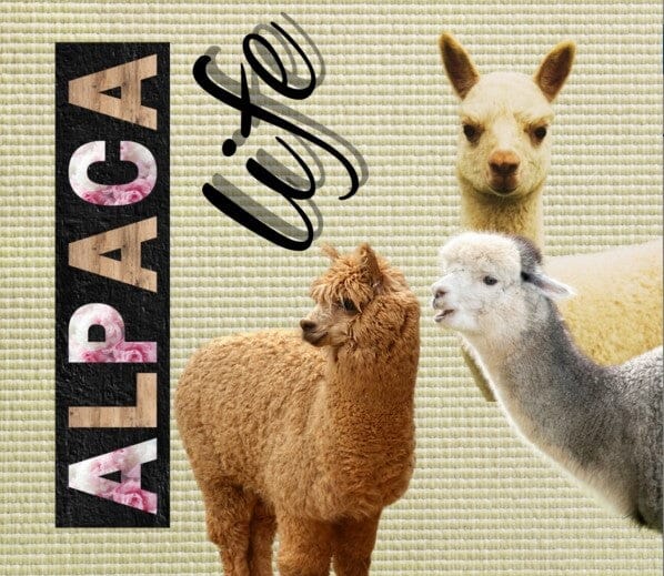 Load image into Gallery viewer, Alpaca Drink Tumbler
