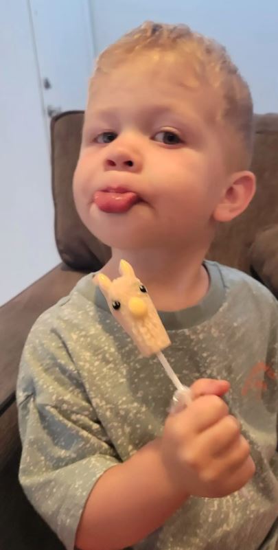 Alpaca Watching Lollipops