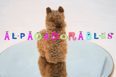 Load image into Gallery viewer, Alpacadorable Hand Made Baby Alpaca Ornaments
