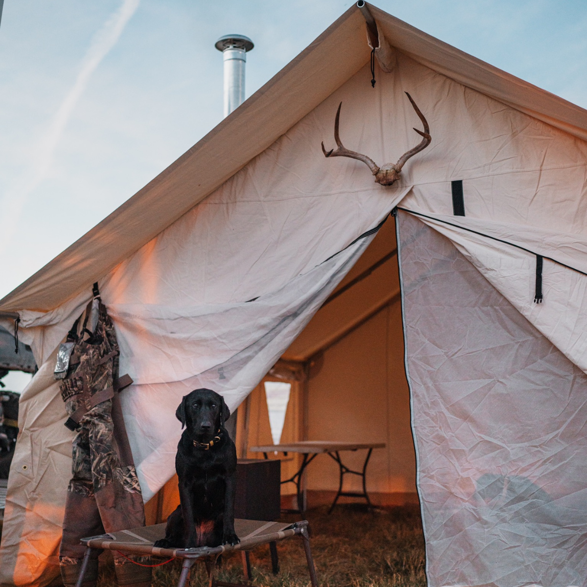 USED - 10'x12' Alpha Wall Tent