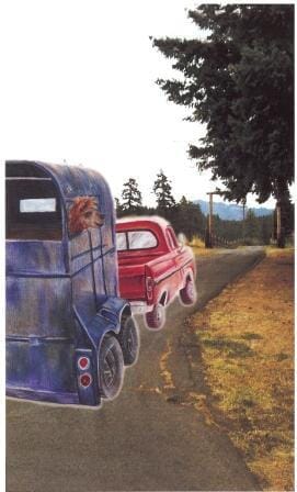 Load image into Gallery viewer, Anik the Unique Alpaca
