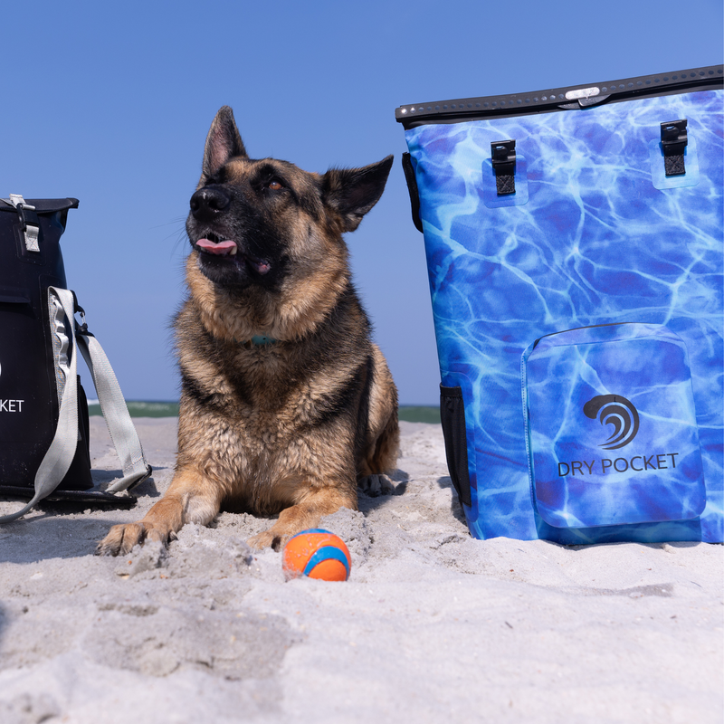 Load image into Gallery viewer, Waterproof Floating Backpack Cooler - Ocean Blue
