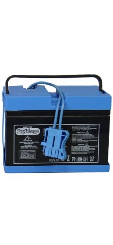 Load image into Gallery viewer, Authentic Peg Perego 12V Battery Replacement - Model IAKB0501
