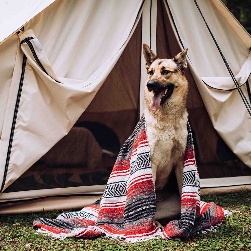 Load image into Gallery viewer, 13' Avalon Bell Tent
