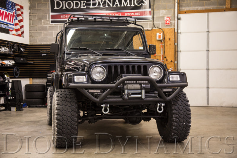Load image into Gallery viewer, Diode Dynamics 12 In LED Light Bar Single Row Straight Clear Driving (Pair) Stage Series
