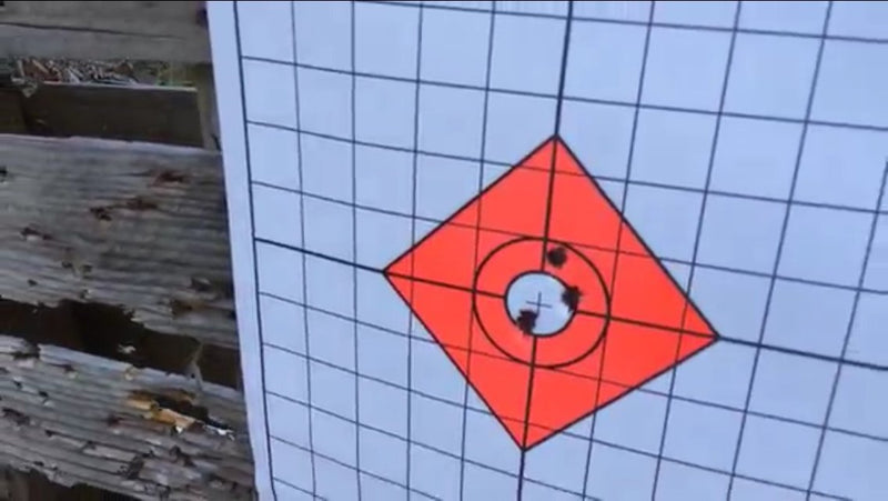 Load image into Gallery viewer, EZ2C Targets #13: Shooting Range Paper Target w 1" Grids 11"x17” USA MADE
