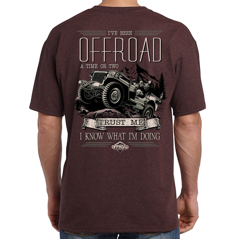Load image into Gallery viewer, I Know What I'm Doing T-Shirt
