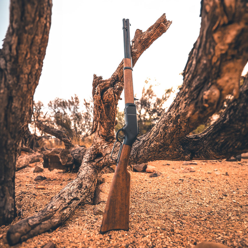 Load image into Gallery viewer, 1866 CO2 .177 - Black
