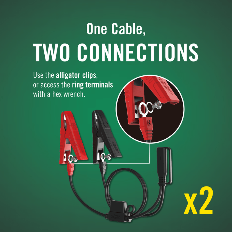 Load image into Gallery viewer, 2-Bank, 1.25 AMP 12V Battery Charger
