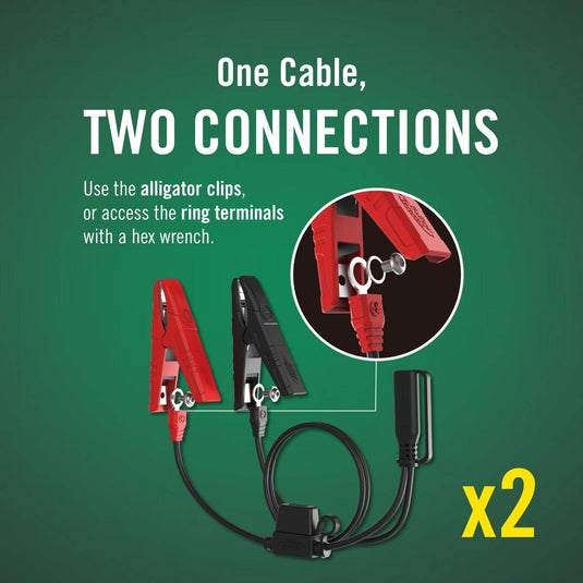 2-Bank Selectable 12V or 6V, 6 AMP Battery Charger