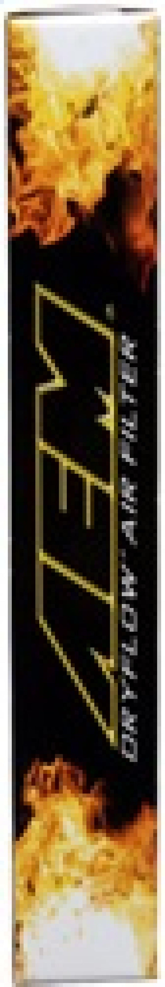 AEM Induction AEM 05-09 VW Passat / 06-08 VW GTI DryFlow Air Filter 28-20888