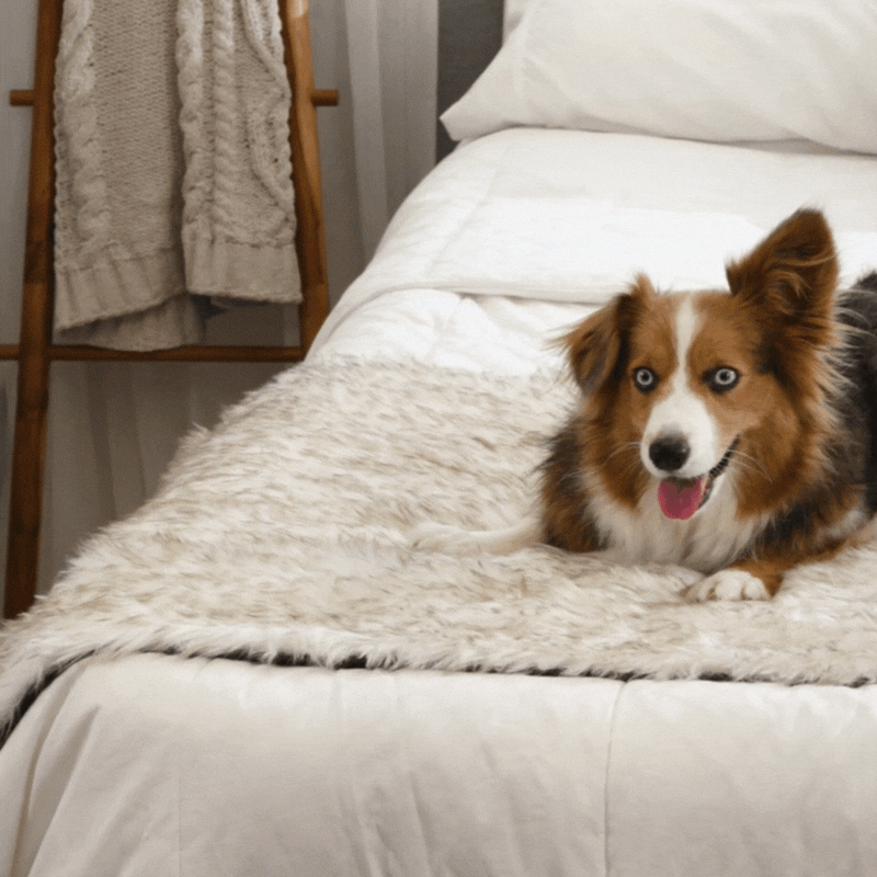 Load image into Gallery viewer, PupProtector™ Waterproof Bed Runner - White with Brown Accents
