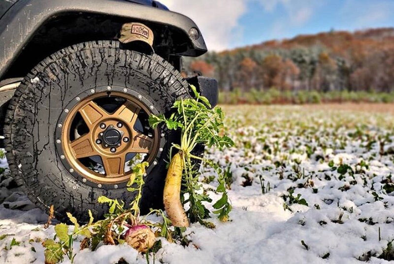 Load image into Gallery viewer, Boss Brew™ Food Plot Seed
