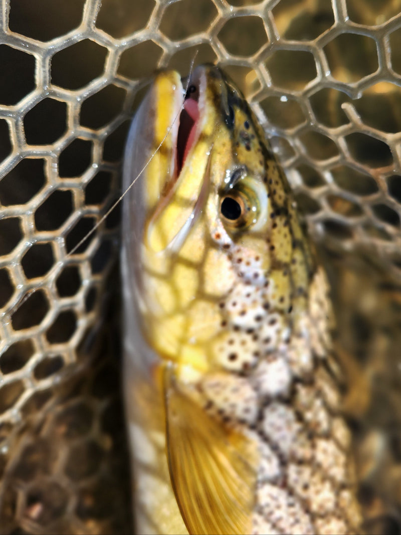 Load image into Gallery viewer, Custom trout worms
