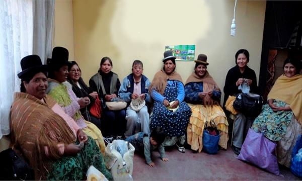 Load image into Gallery viewer, Brushed Pattern Fingerless Alpaca Gloves
