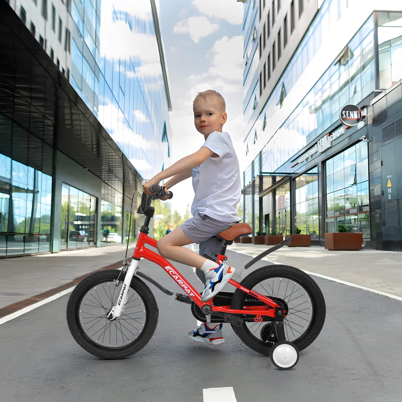 Load image into Gallery viewer, Ecarpat Candami 14” Kid Bike
