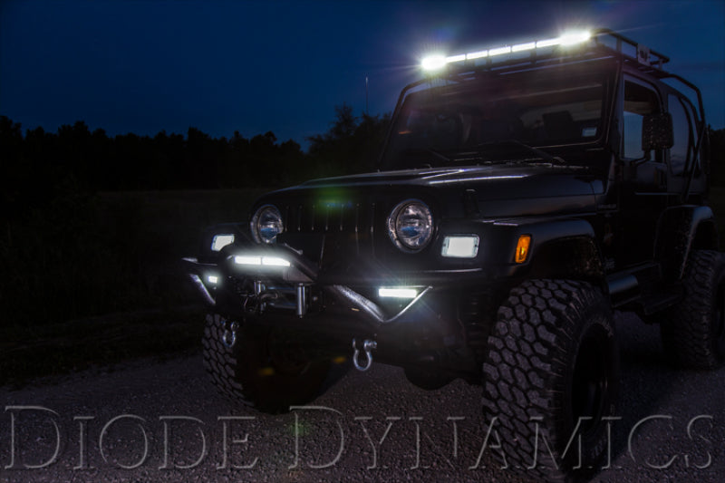 Load image into Gallery viewer, Diode Dynamics 12 In LED Light Bar Single Row Straight Clear Driving (Pair) Stage Series
