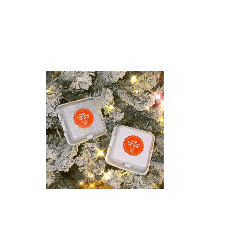 Load image into Gallery viewer, &quot;Just Got Laid&quot; 4-Egg Carton
