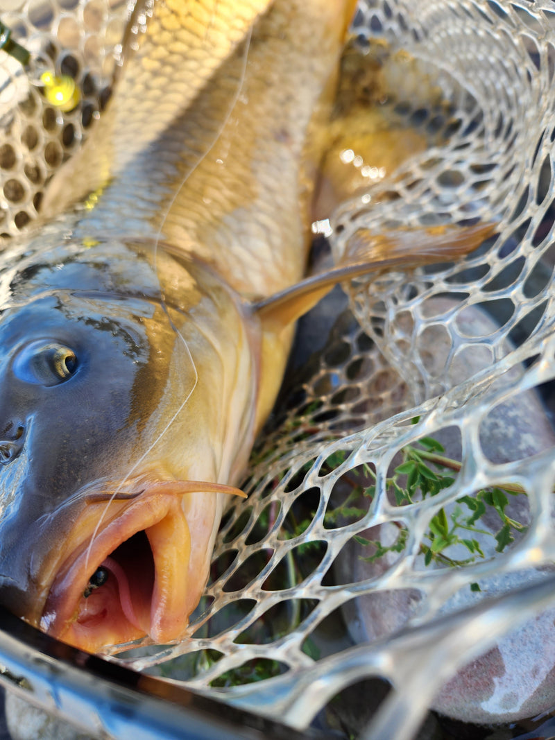 Load image into Gallery viewer, Custom trout worms
