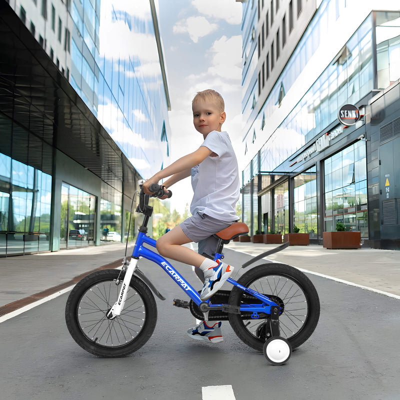 Load image into Gallery viewer, Ecarpat Candami 14” Kid Bike
