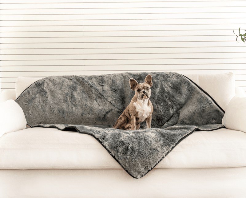 Load image into Gallery viewer, PupProtector™ Summer Short Fur Waterproof Throw Blanket - Charcoal Grey
